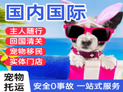 大武国际宠物托运 【国